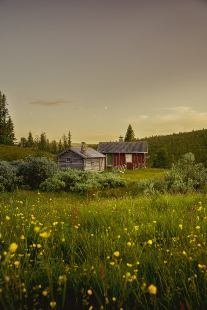 Swedish cabin in the woods
